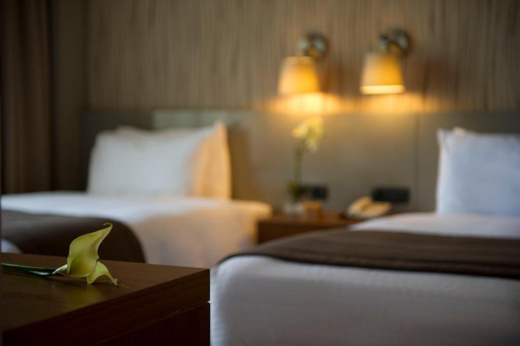 Parktower Suites Beirut Rom bilde